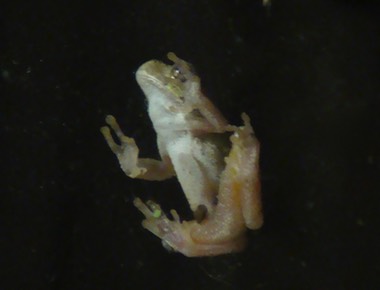 DSC00401
