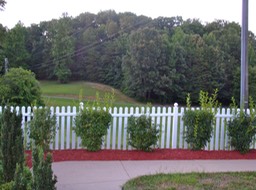 View from garden